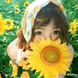 宸C