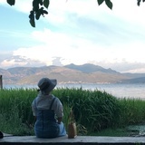 二刘刘