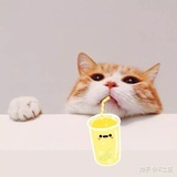 未命名