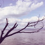 陌陌