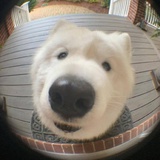 不想上班