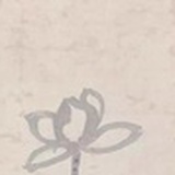 观者
