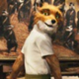 醉猫
