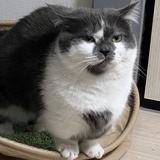 聪明勇敢有力气