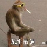 不想起名字