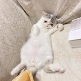 糖水