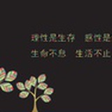 秘密的心