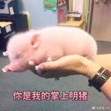 爱丽茉儿