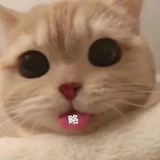 我是和