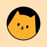 爱读书的小猫咪