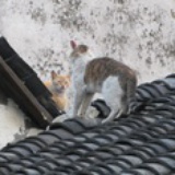 此时故人来