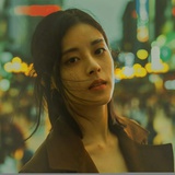 树上的风