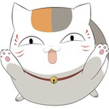 胖太
