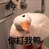 不知道吃什么