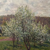Jalil