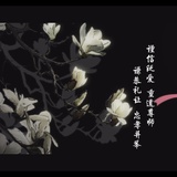 aiwa