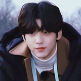 Suri