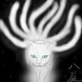 捌尾猫