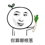 一根葱