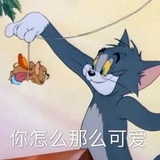 41