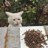 痕。