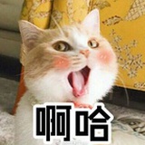 小倩炖蘑菇