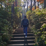 赏樱闲人
