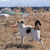 山与食欲与我