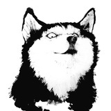 十三