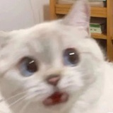 像坐慢车
