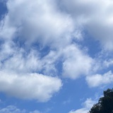 我的使命是什么