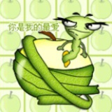 苹果里的虫