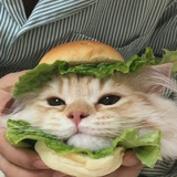 :-I