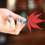 摸鱼大王就是我