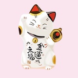 南木