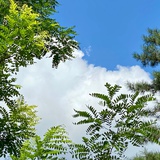 愿走遍天下山河