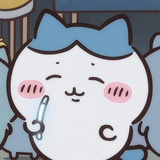 一只看不见的猫