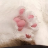 毛线袜