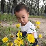 爸爸我想飞