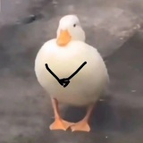 谷哒白