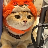 冰晶之恋