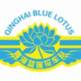 青海蓝莲花车队