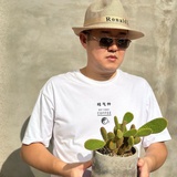 白墨
