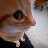 vicky