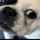 __