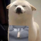 在线偷猪