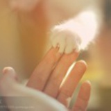學著。。萇仧