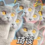 琦談