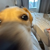 冷静に