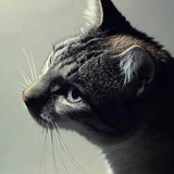 Yilun